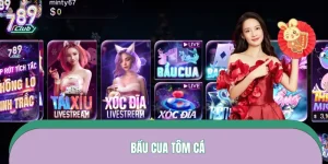 Cách Chơi Bầu Cua Tôm Cá - Luôn Dẫn Đầu Và Thắng Liên Tiếp